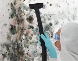 Environmental Consulting for Mold Prevention in Shamrock, TX